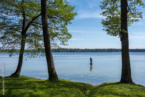 Beautiful landscape of lake Svityaz  with pine tree, Belarus photo