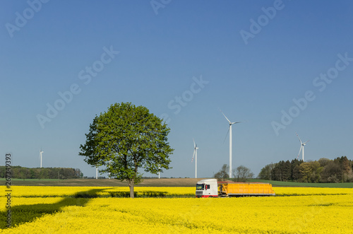 COUNTRY ROAD AND WIND FARM - Big truck among spring rape fields