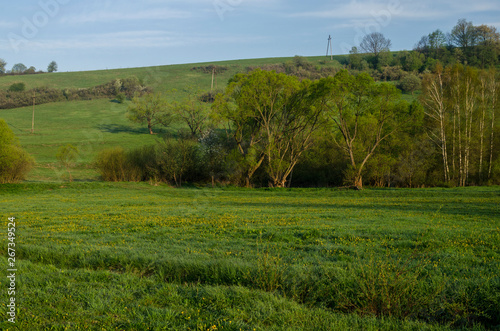 pola panorama 