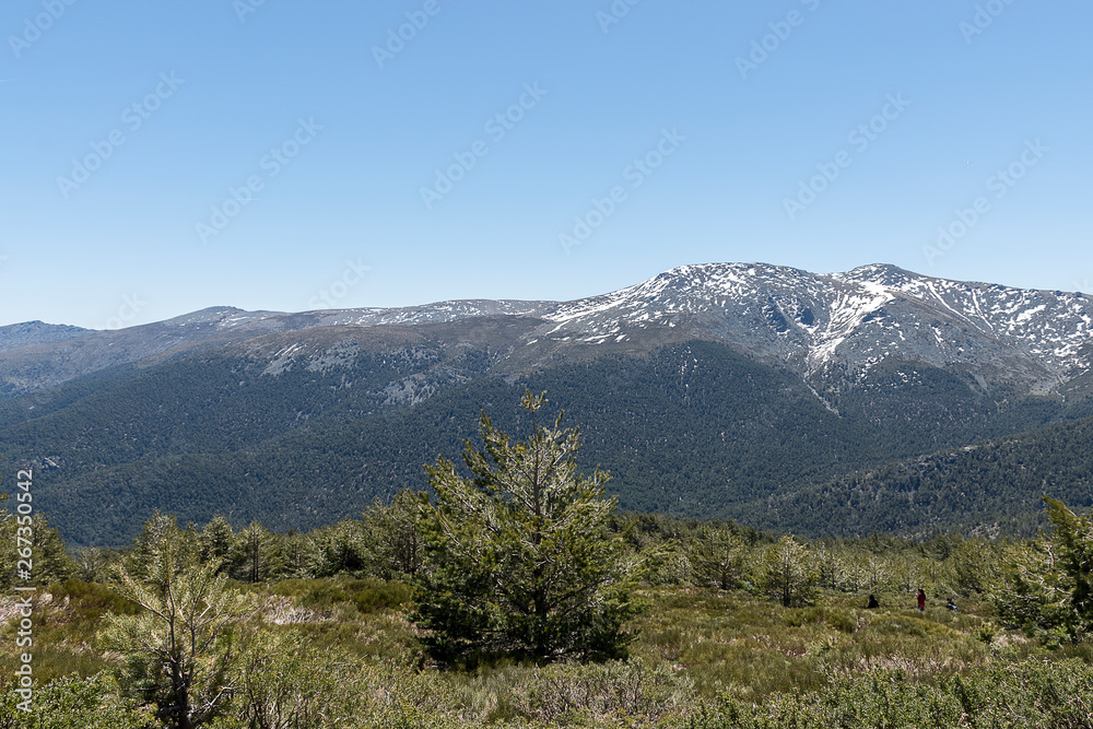 View of high mountain from the port of Cotos. Natural Park of the Sierra de Guadarrama, Madrid, Spain