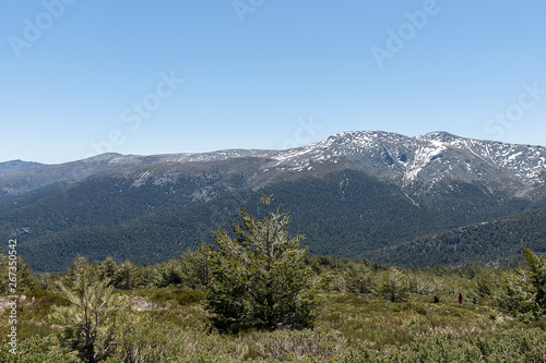 View of high mountain from the port of Cotos. Natural Park of the Sierra de Guadarrama, Madrid, Spain