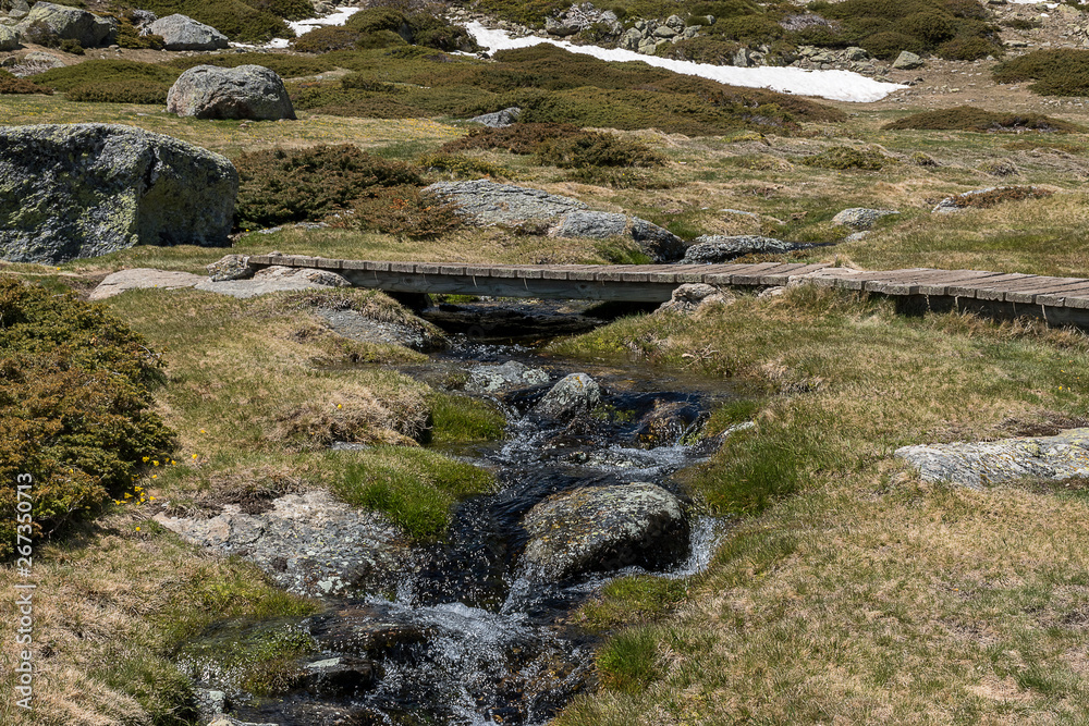 High mountain stream in spring, with a small wooden bridge. Natural Park of the Sierra de Guadarrama, Madrid, Spain High mountain stream in spring, with a small wooden bridge. Natural Park of the Sierra de Guadarrama, Madrid, Spain
