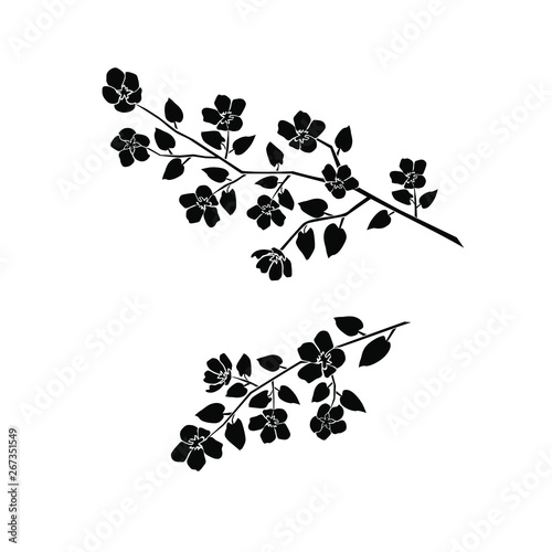 Silhouette of apple or cherry flower with leaf, branch blossom, black color, isolated on white background