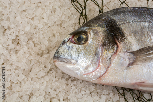 Raw fish dorado with fishing net on the coarse salt. Closeup view from above.