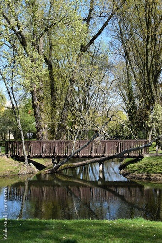 Brązowy mostek pionowo