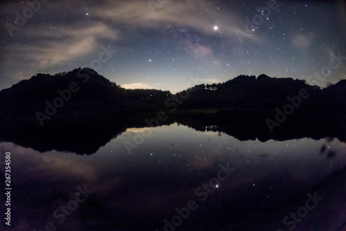 湖面の星たち