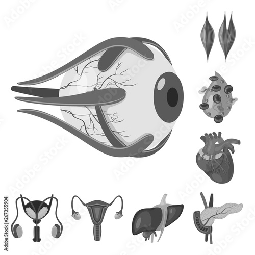 Vector illustration of internal and medical logo. Set of internal and health vector icon for stock.