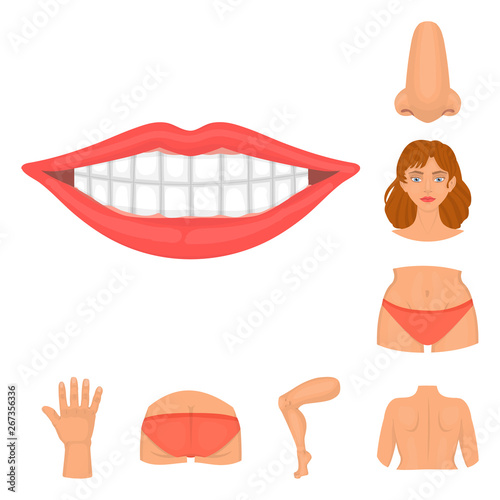 Vector design of body and part logo. Set of body and anatomy stock vector illustration.