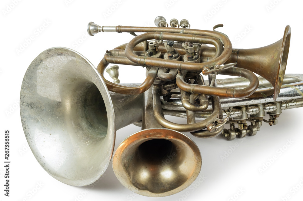 Fototapeta premium Group of brass instruments