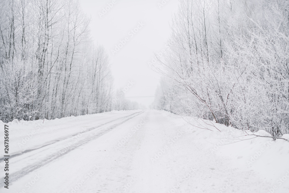 snow-covered road and forest