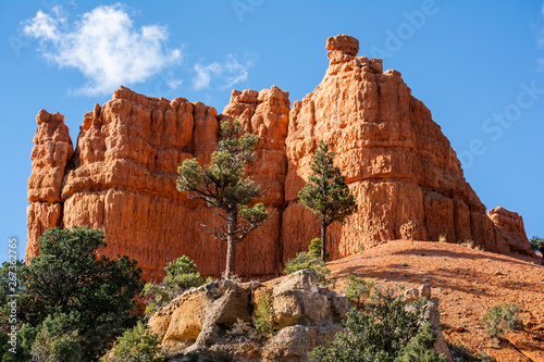 Red Canyon