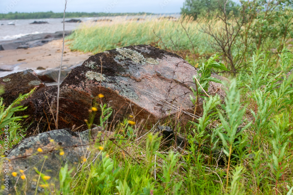 Obraz premium Old rusty barbed wire at the site of an SLON concentration camp on the shore of the White Sea in stormy weather