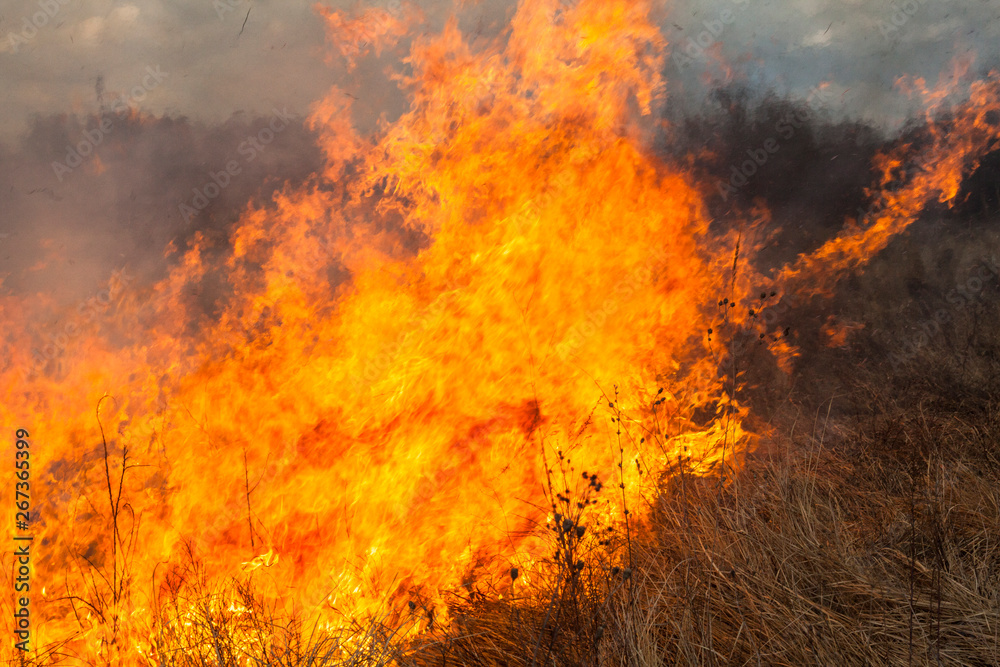 Big fire in the field Big fire in the field