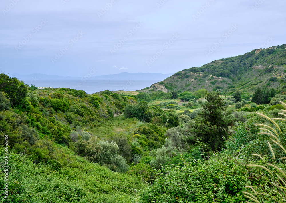 A green and beautiful valley with sea and mountains in the background