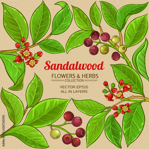 sandalwood vector frame