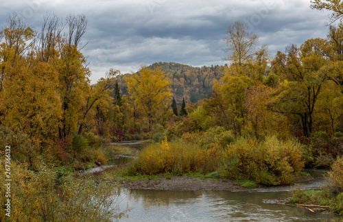 The mountain river flows through the autumn forest. In the background are mountains and a cloudy sky.