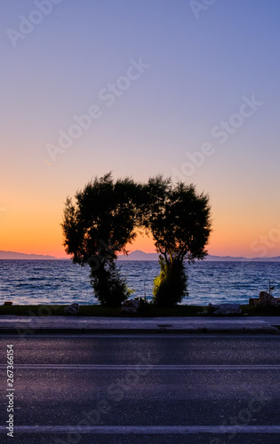 Two trees and a road in the foreground with sea and mountains in the background at a beautiful sunset