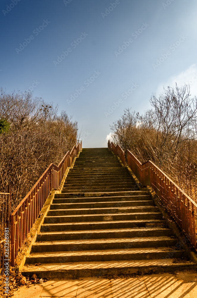 Fototapeta premium stairs