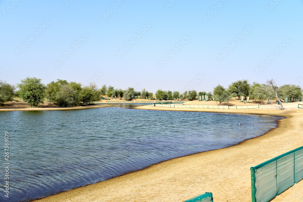 Landscape from al qudra lakes at the day, Dubai, United Arab Emirates