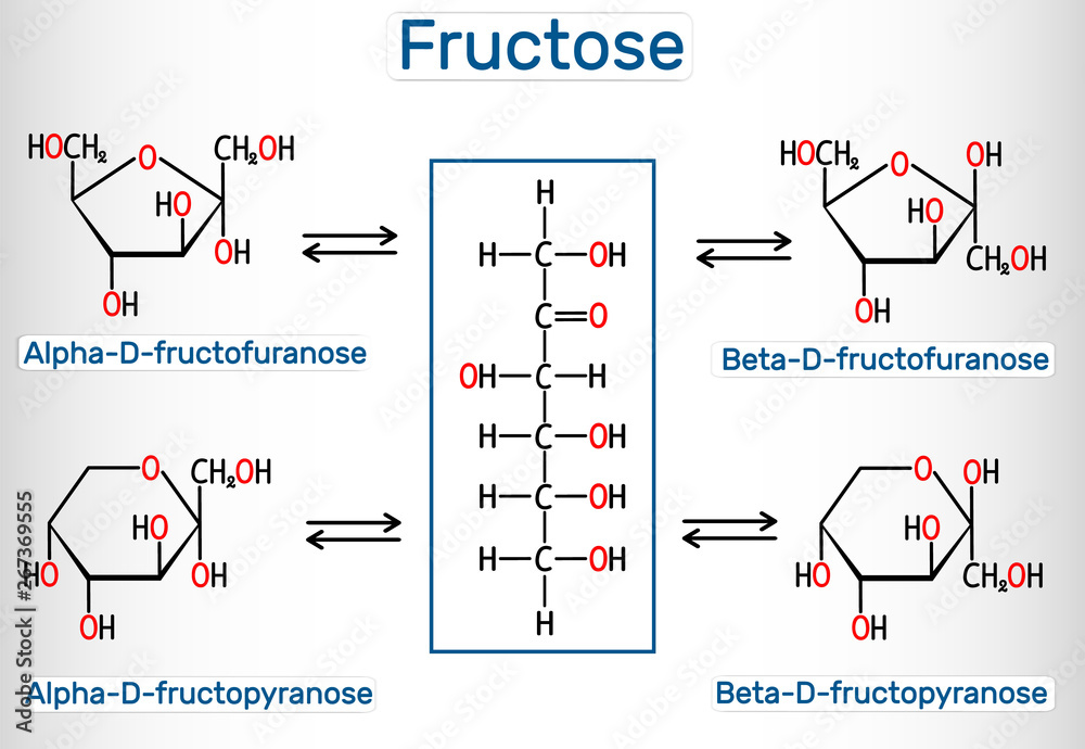 Vetor De Tautomeric Forms Of D Fructose Alpha D fructofuranose Beta D Vetor De Tautomeric Forms Of D Fructose Alpha D fructofuranose Beta D