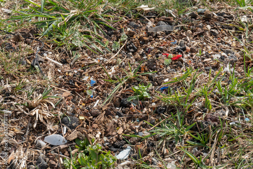 Micro plastic pollution in soil found