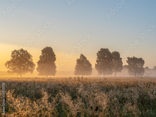 Landschaft am Morgen © thoMIC63