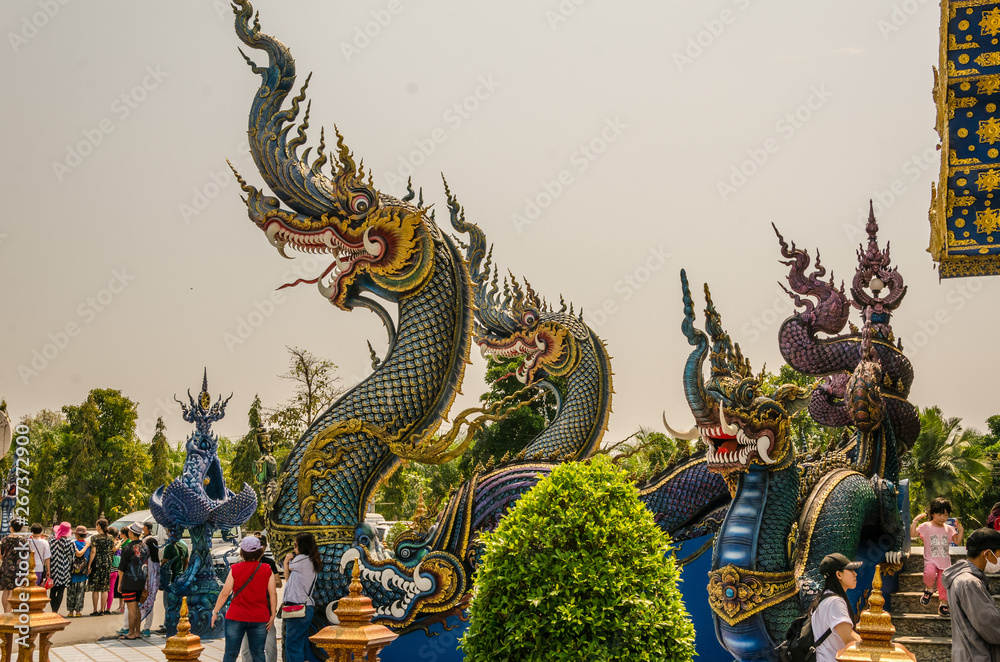 Fototapeta premium dragon