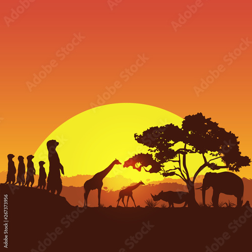 Safari banner  silhouette of wildlife animals in South Africa