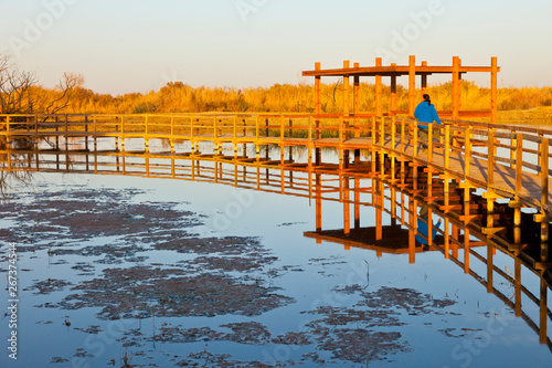 Reserva Natural del Humedal de Azraq. Jordania, Oriente Medio photo