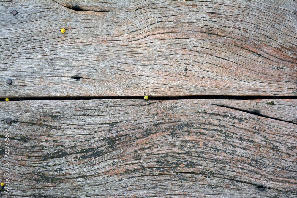 the panel texture of old and rough hardwood the panel texture of old and rough hardwood