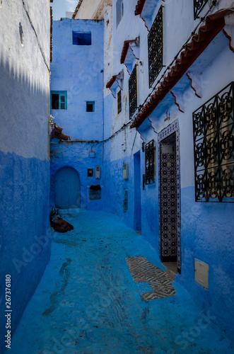 blue street © Tomasz