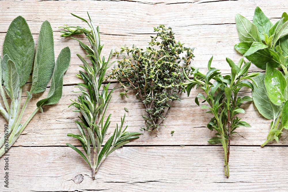Fresh herbs selection included rosemary, thyme, sage and oregano
