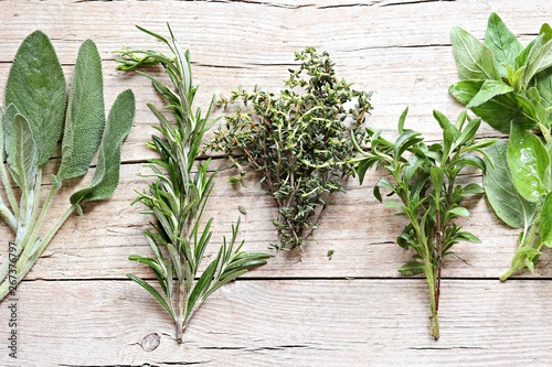 Fresh herbs selection included rosemary, thyme, sage and oregano