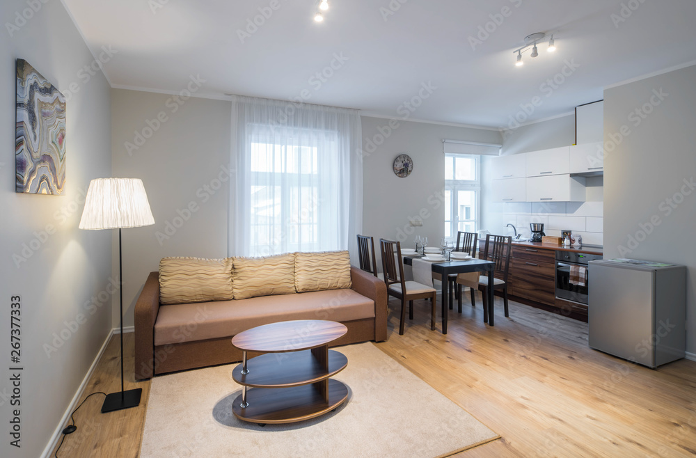 Modern studio apartment interior. Kitchen and guest room. Modern studio apartment interior. Kitchen and guest room.