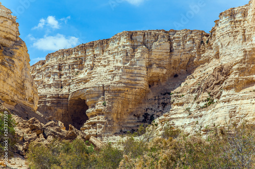 Canyon Ein Avdat