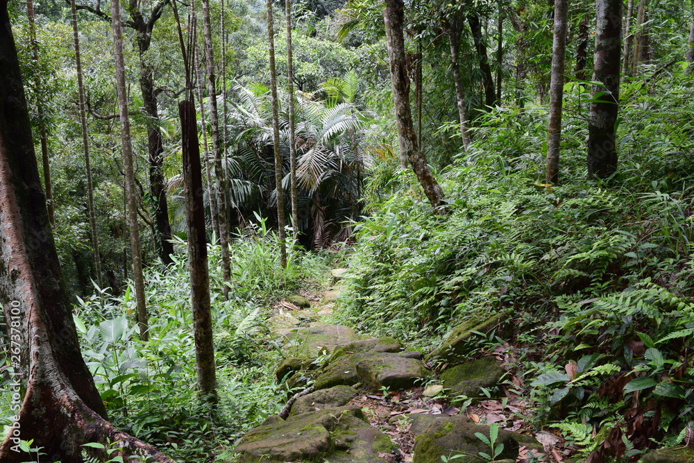 Obraz premium Cherrapunji