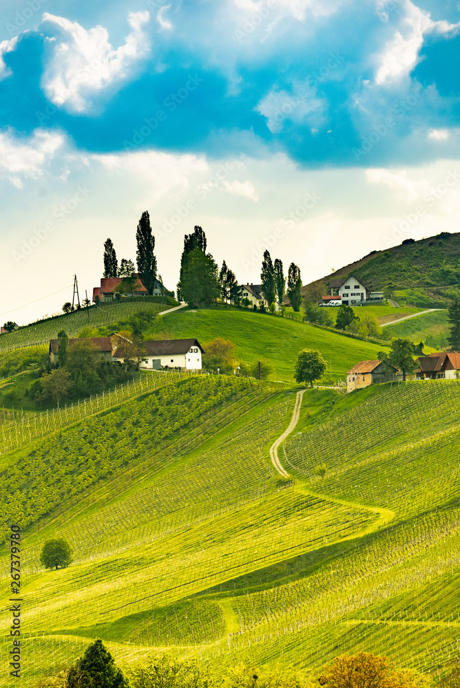 Fototapeta premium South styria vineyards landscape, near Gamlitz, Austria, Eckberg, Europe. Grape hills view from wine road in spring. Tourist destination, travel spot.