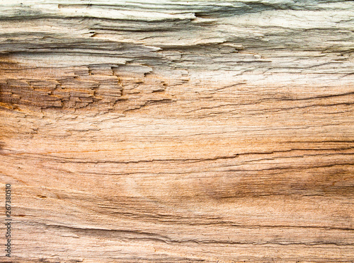 Wooden texture.