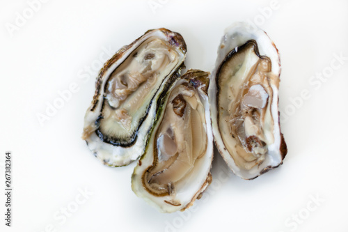 Three open Oysters on a white Table - Top-Shot, isolated photo