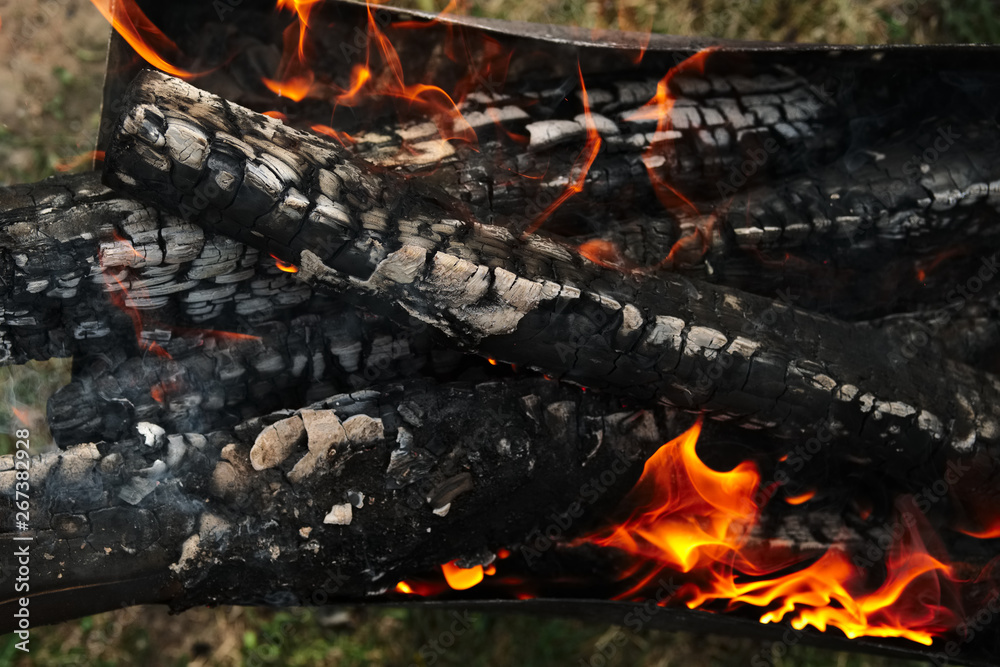 Burning firewood in the fire outdoor Burning firewood in the fire outdoor