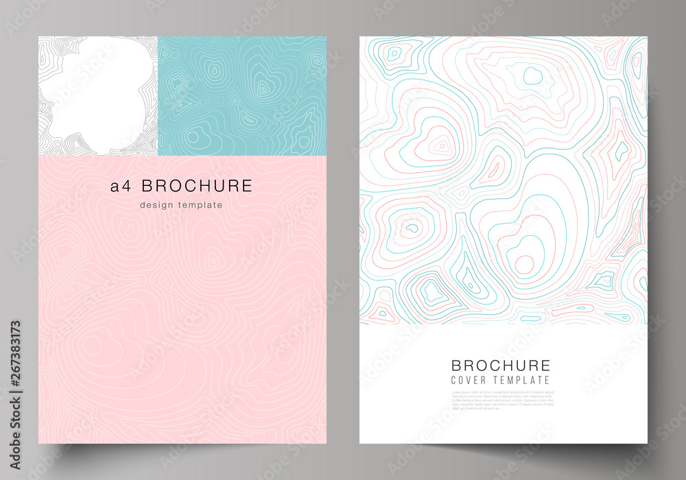 The vector illustration of editable layout of A4 format cover mockups design templates for brochure, magazine, flyer, booklet, annual report. Topographic contour map, abstract monochrome background.