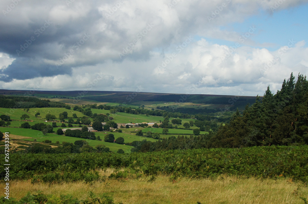 Landscape under cloudy sky in Yorkshire