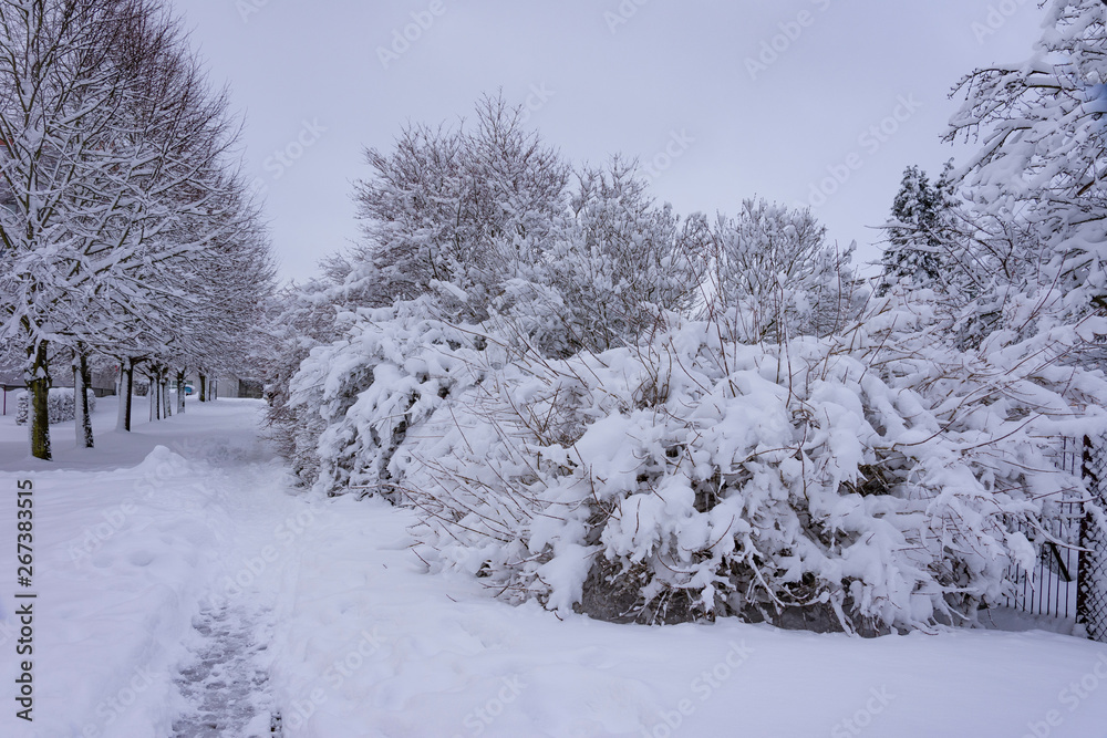 Obraz premium winterliche landschaft