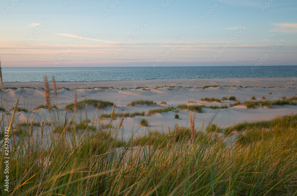 Sand dunes with vegetation in front of ocean photographed in sunset after a summers day in a national park in sweden Sand dunes with vegetation in front of ocean photographed in sunset after a summers day in a national park in sweden