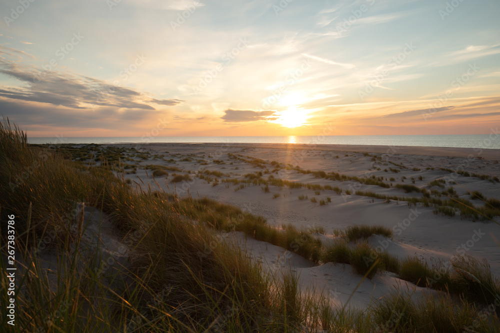 Sand dunes with vegetation in front of ocean photographed in sunset after a summers day in a national park in sweden