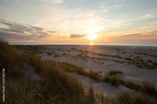 Sand dunes with vegetation in front of ocean photographed in sunset after a summers day in a national park in sweden