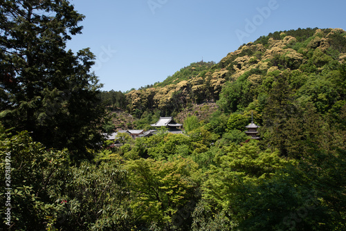 京都 三室戸寺