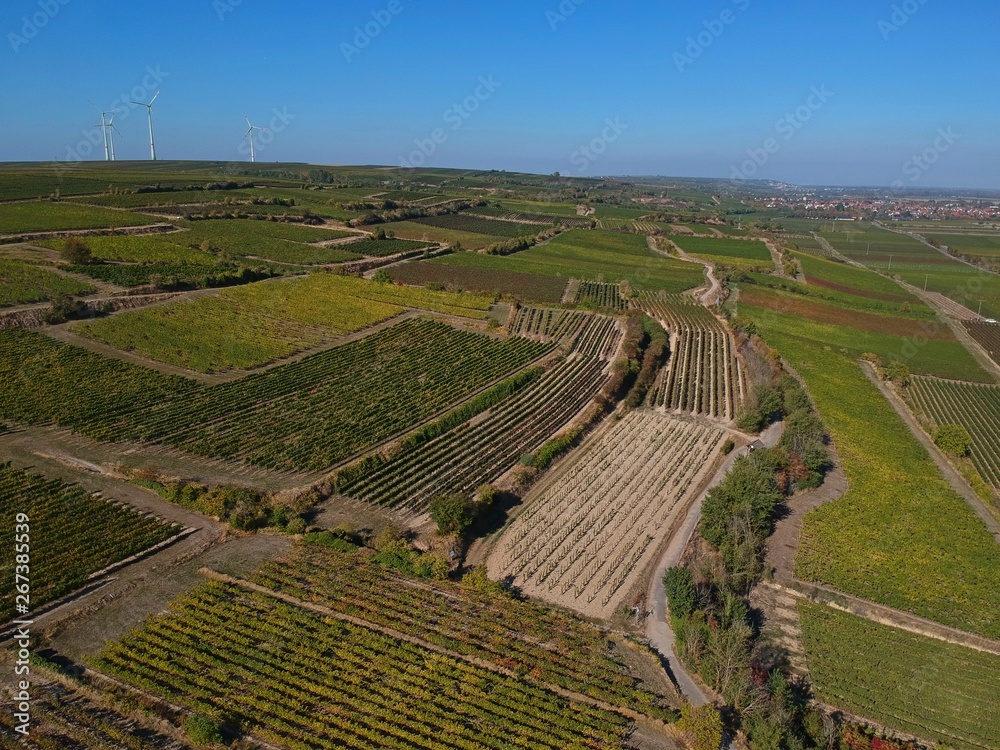 Weinanbaugebiet Weinberg Luftbild Panorama