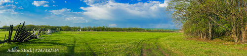 panoramic view of the field and blue sky © ShevarevAlex