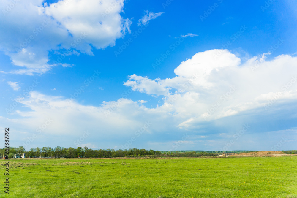 landscape of juicy green grass and blue sky